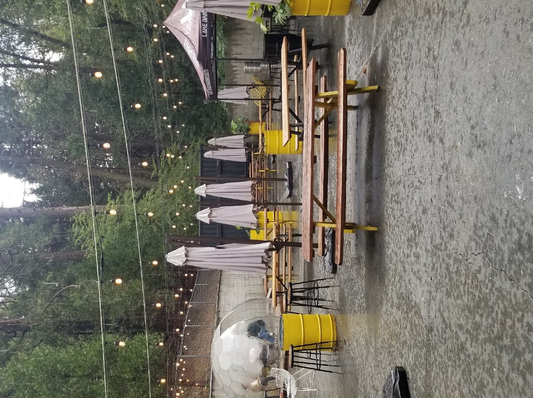 Lake Arrowhead Brewing Co.