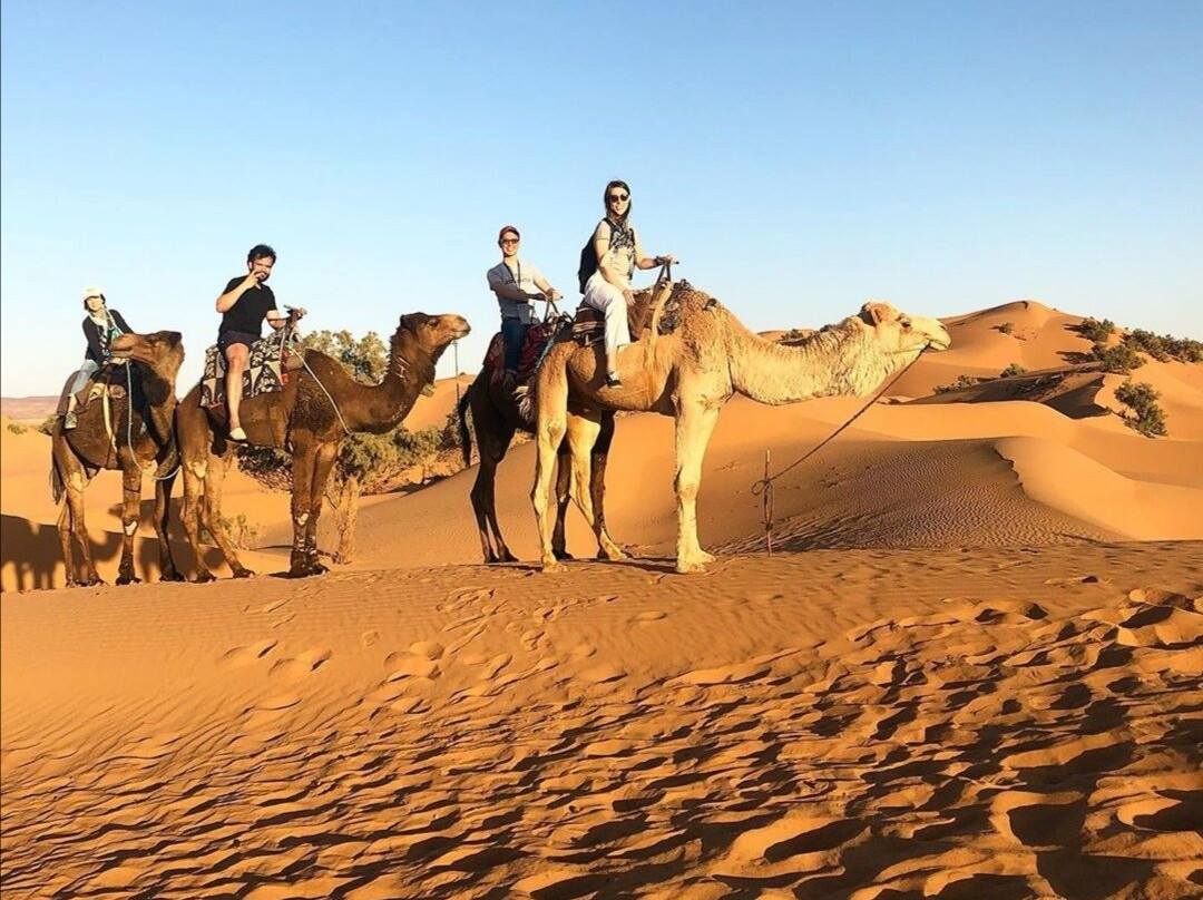 Tours Via Morocco-卡萨布兰卡必去景点