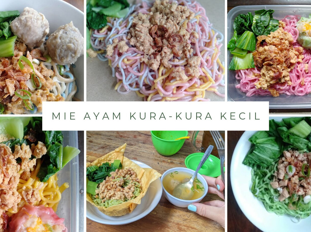 Mie Ayam Kura-kura Kecil