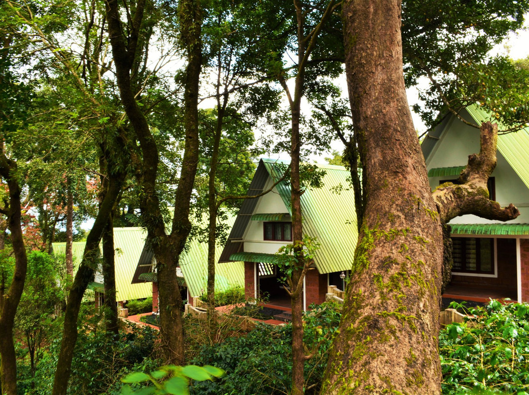 Yavakapadi Village旅游攻略图片