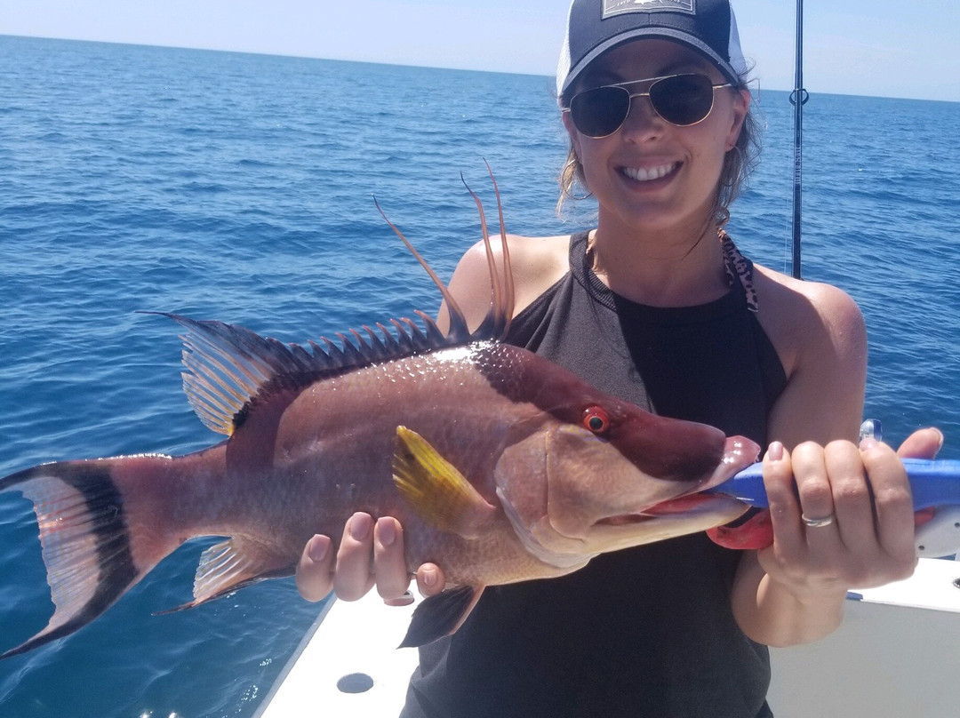 Double Nickel Charters-西耶斯塔岛必去景点