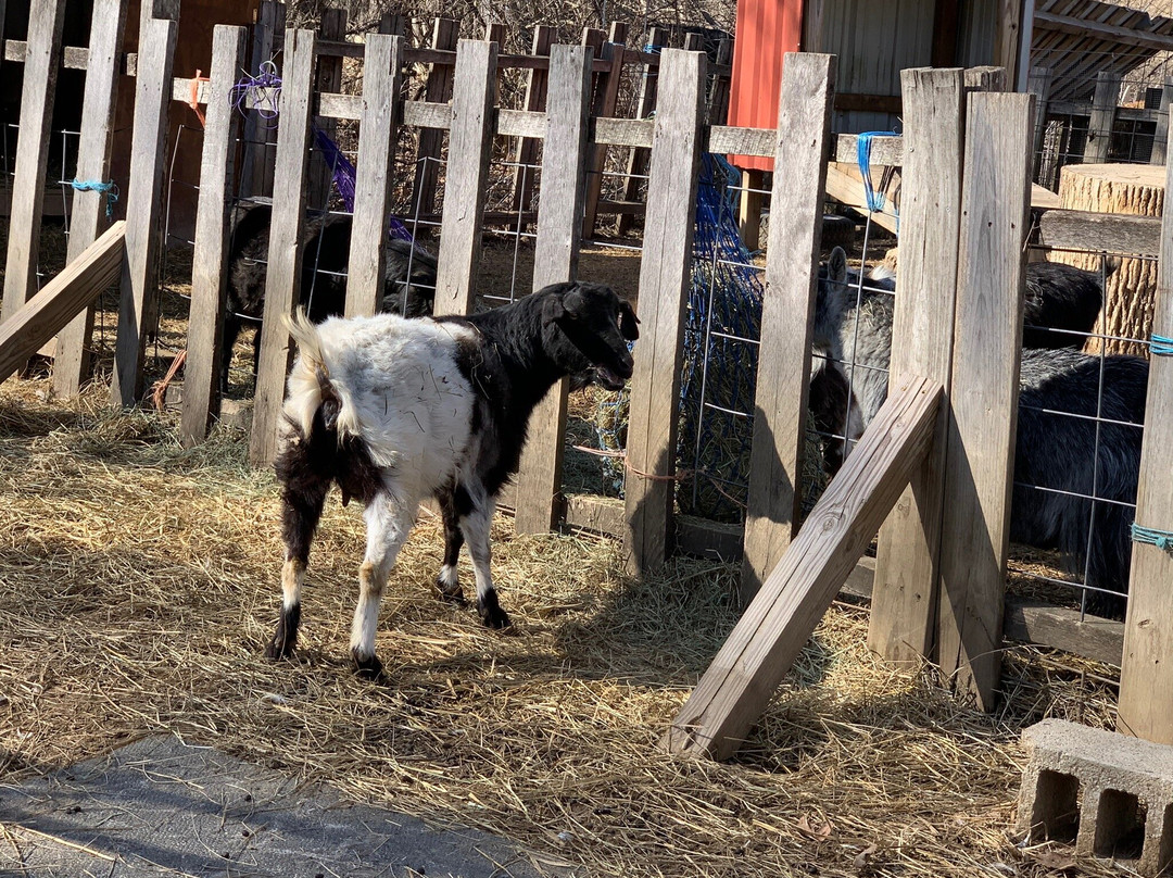 Natural Valley Ranch-Brownsburg必去景点
