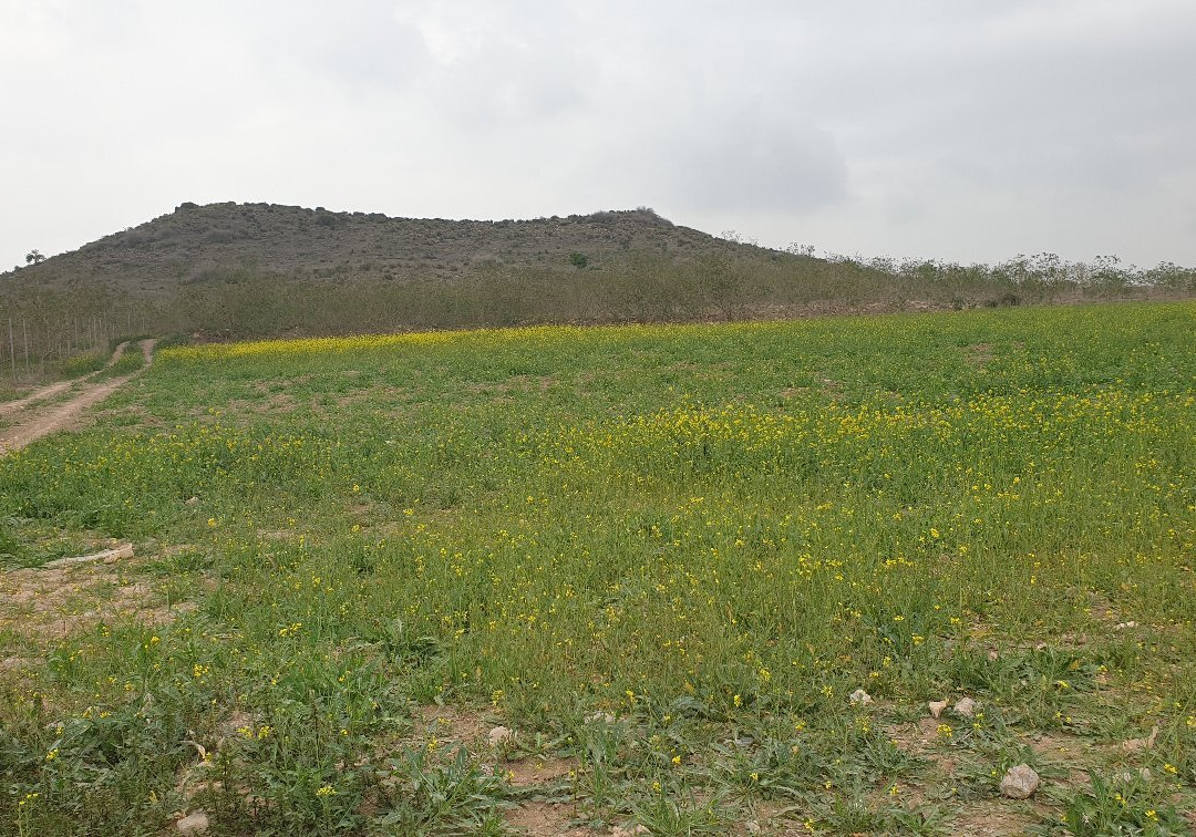 Pico Cebolla-Las Palas必去景点