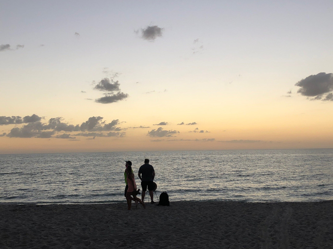 Alison Hangerup Beach