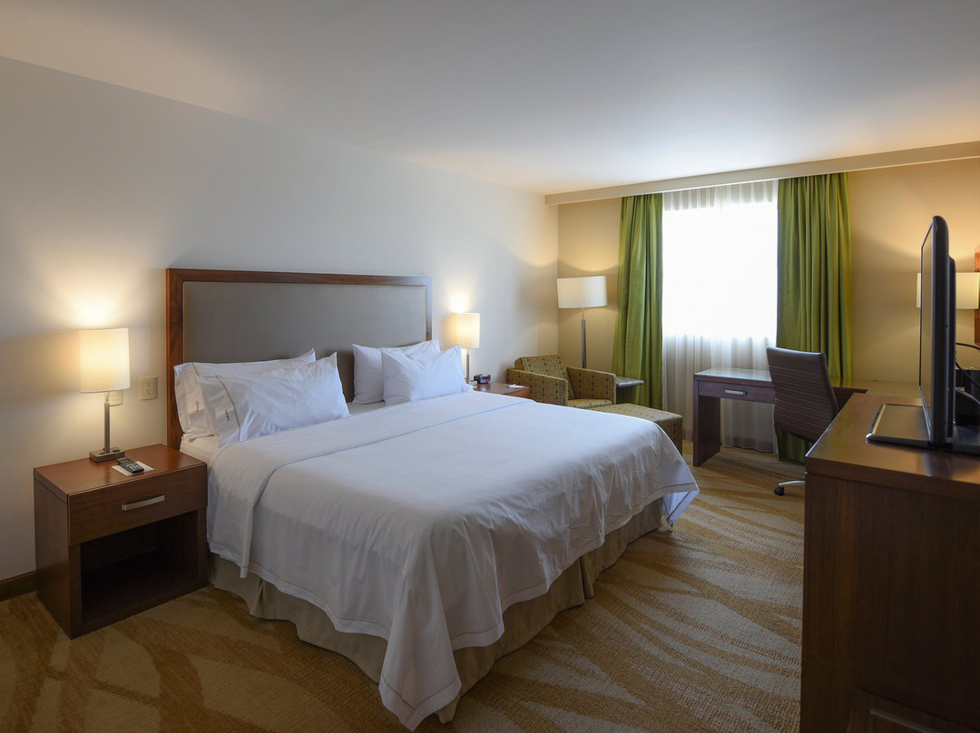 Holiday Inn Express & Suites Celaya By IHG主图