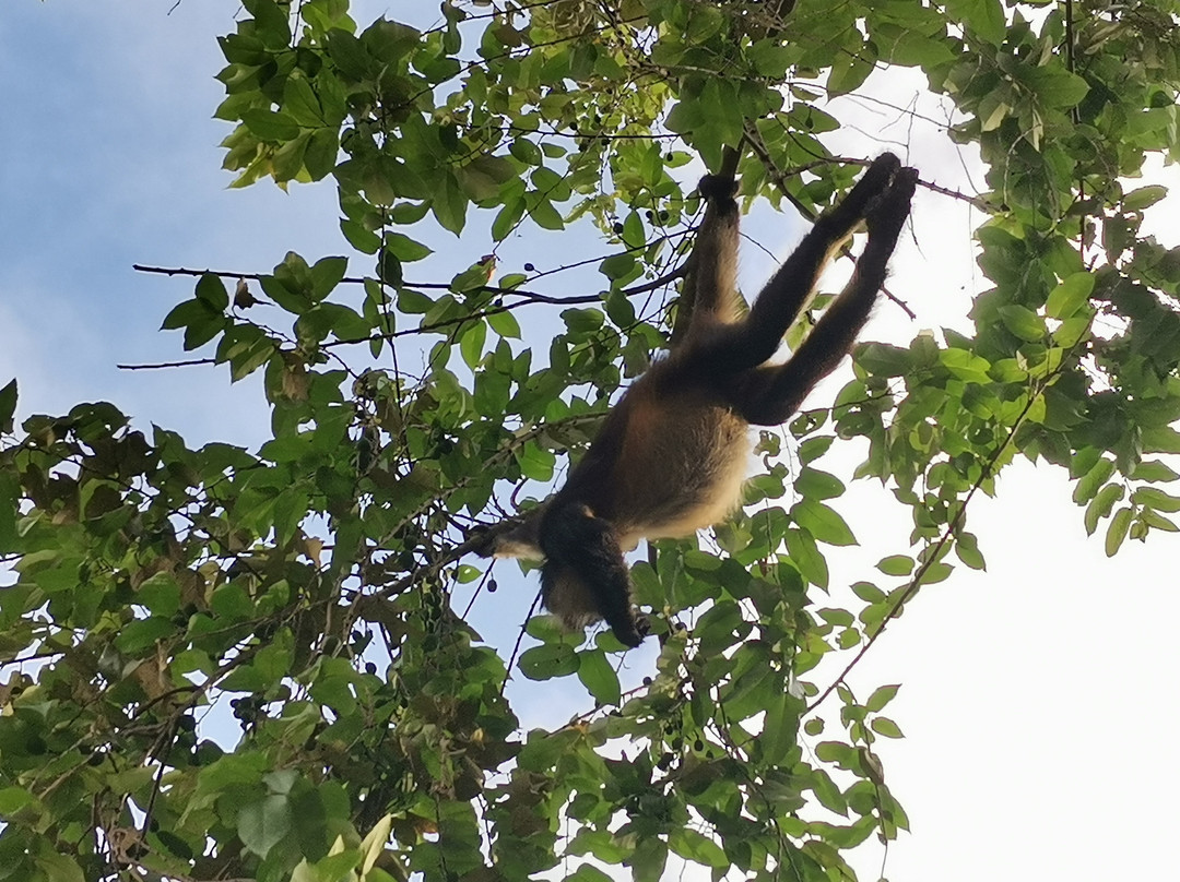 KOOKAY TOURS-巴利亚多利德必去景点