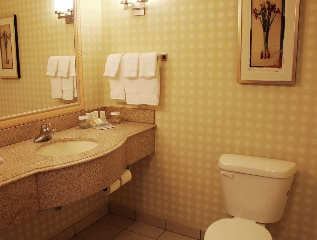 斯塔克维尔希尔顿花园旅馆主图