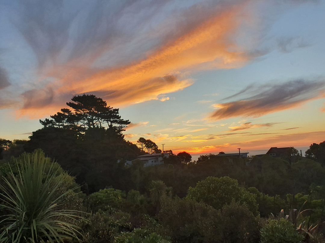 216 Luxury Accommodation Auckland主图