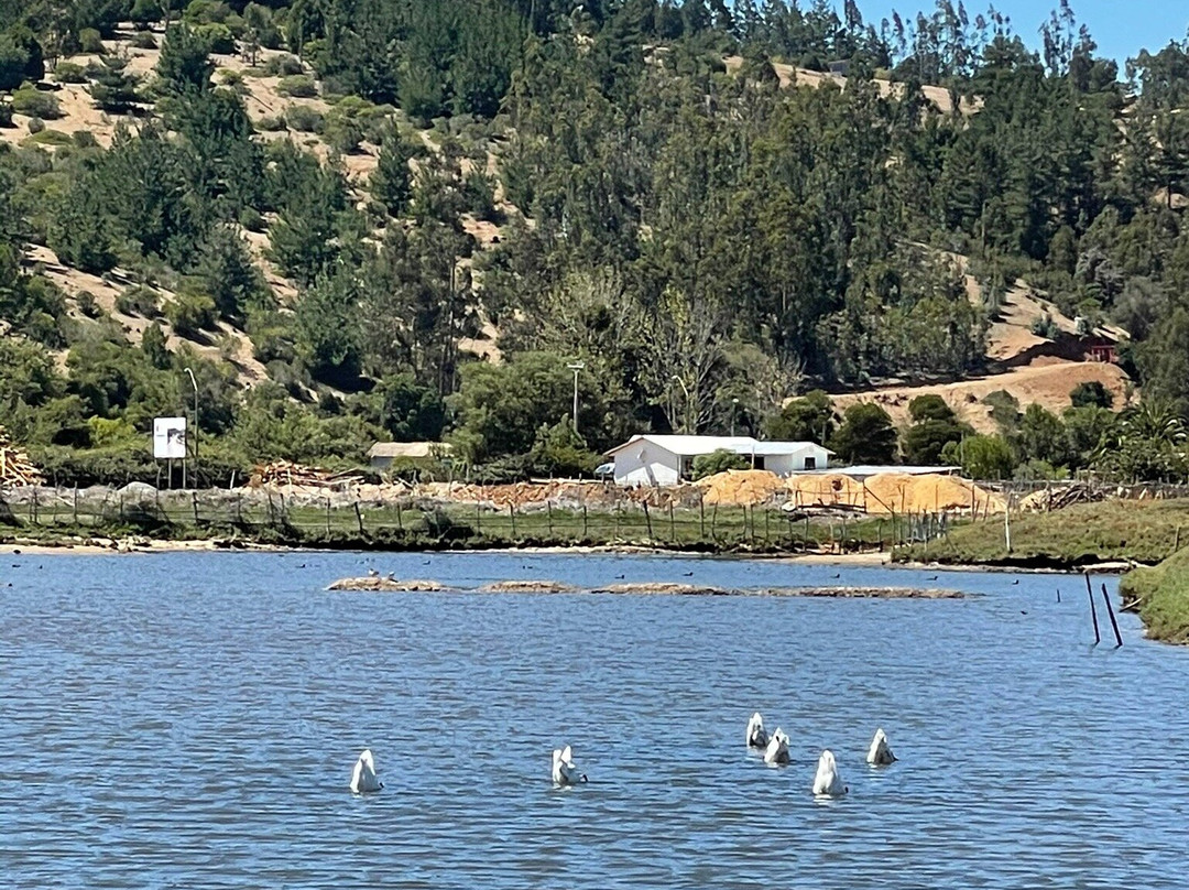 Salinas de Cahuil-皮钦勒姆必去景点