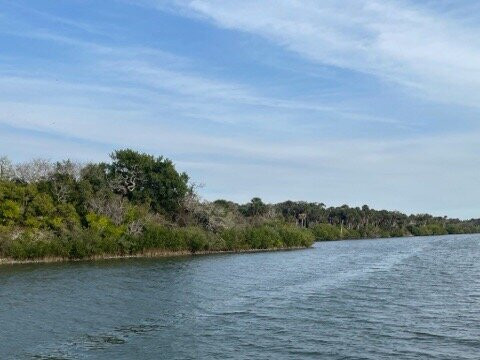 Turtle Mound River Tours景点图片