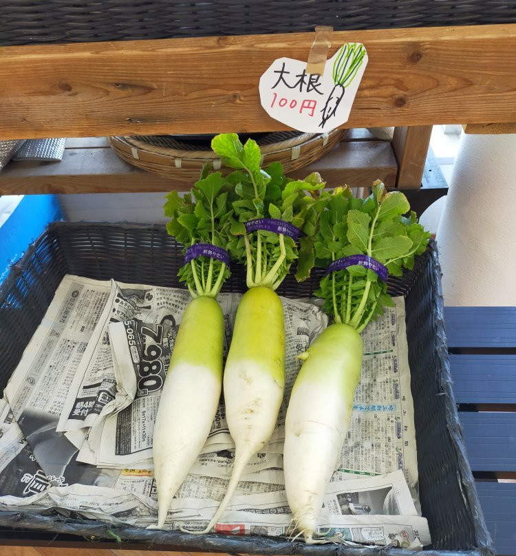 Imashirozuka Ancient History Museum-高规市必去景点