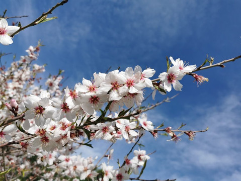 Casa Patata-Galapagar必去景点