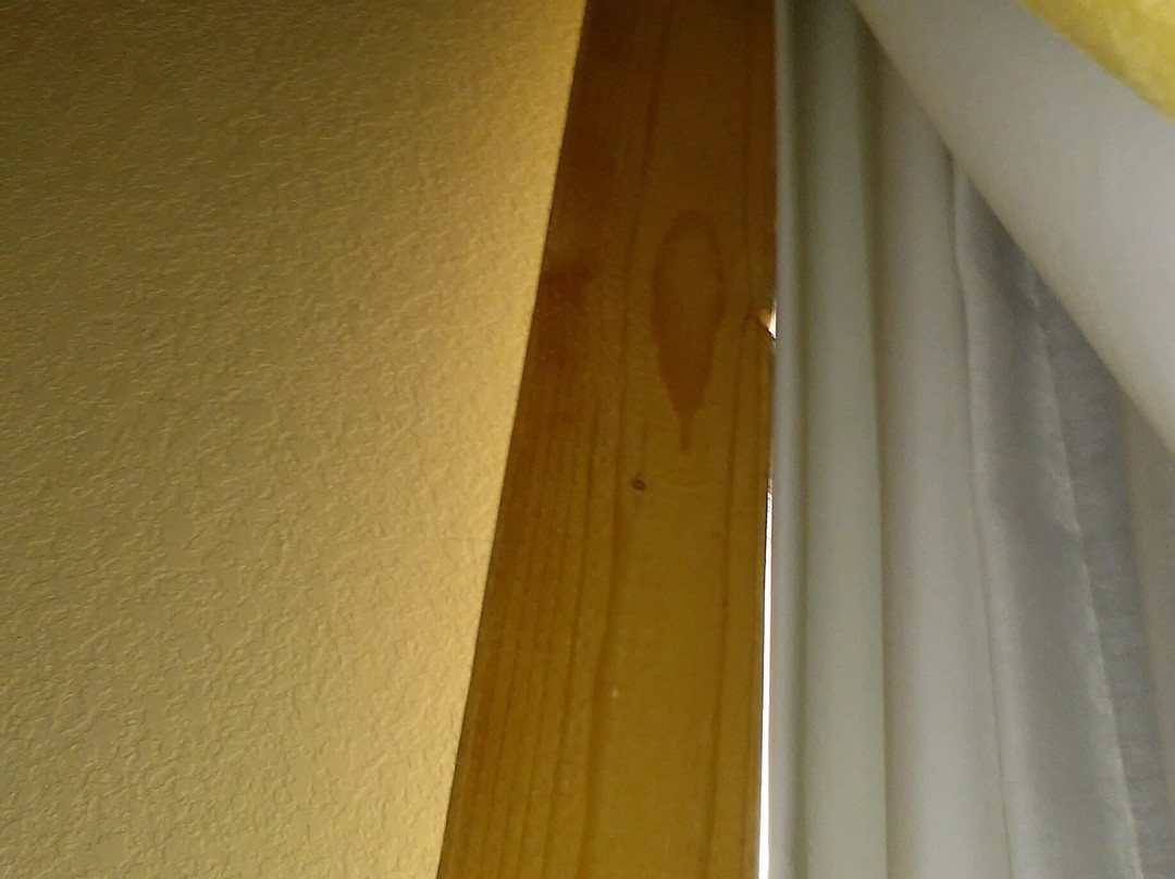 Wyndham Noblesville主图