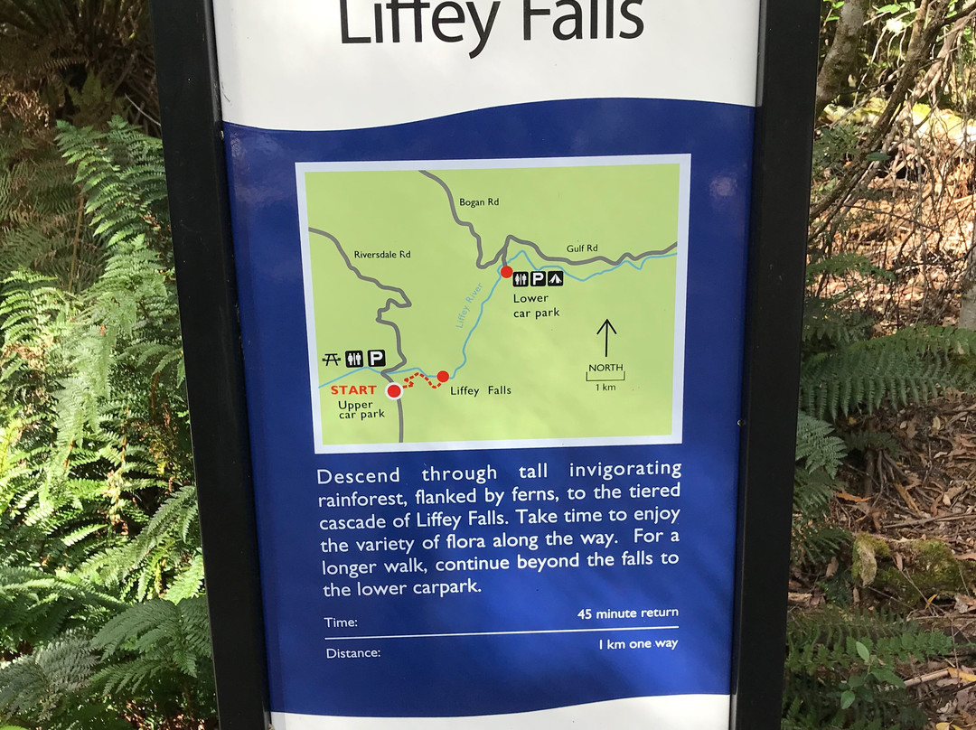 Liffey Falls-德洛兰恩必去景点