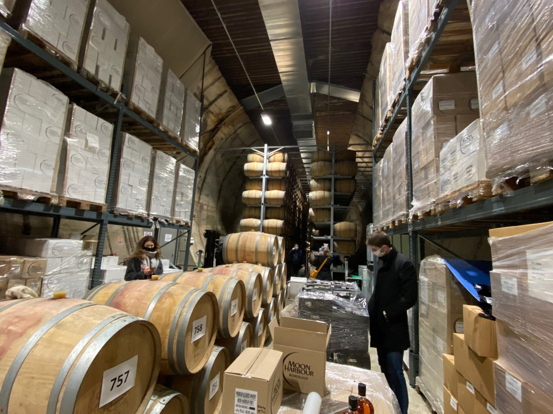 Distillerie Moon Harbour-波尔多必去景点