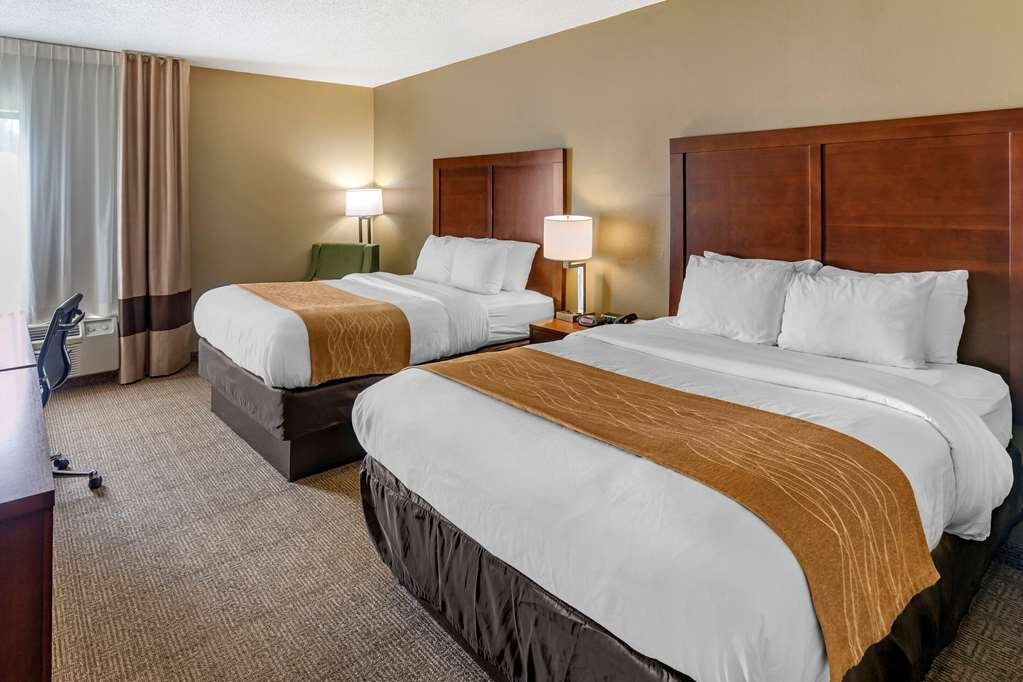 Comfort Inn & Suites Lincoln Talladega I-20主图
