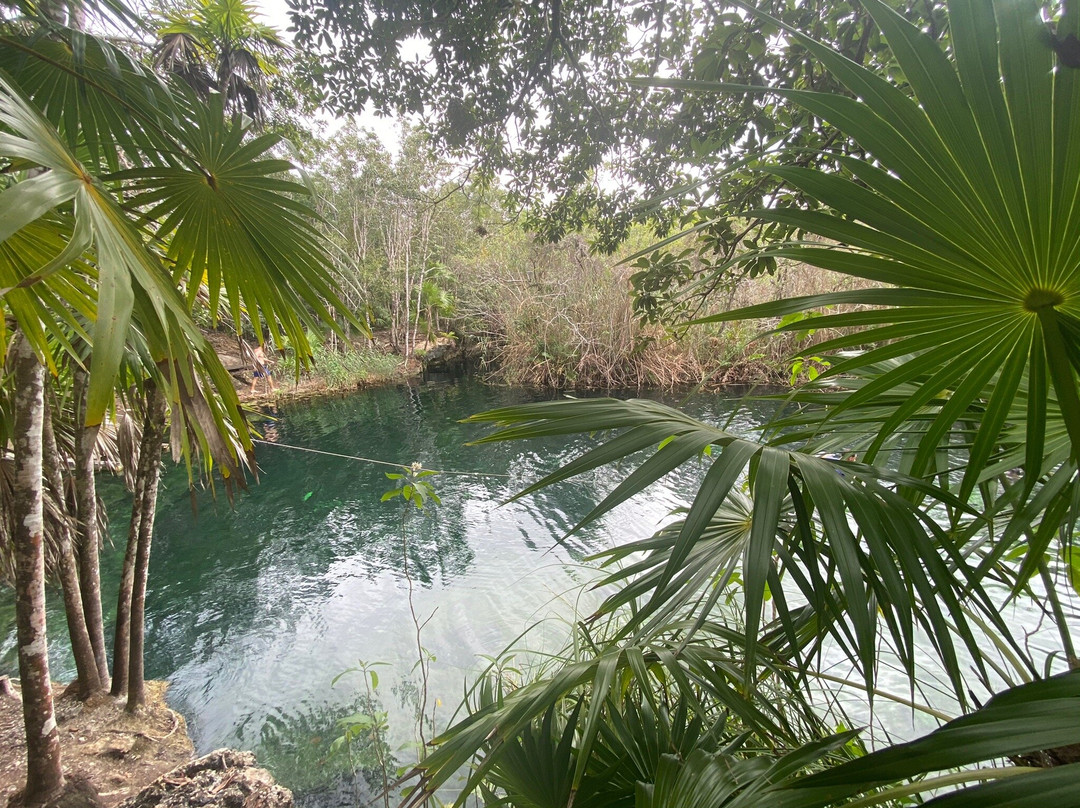 Cenote Crystal景点图片