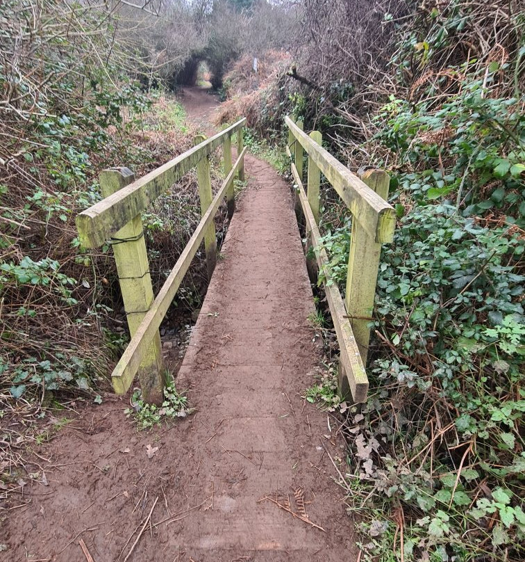 Portishead Lake Grounds-布里斯托尔必去景点