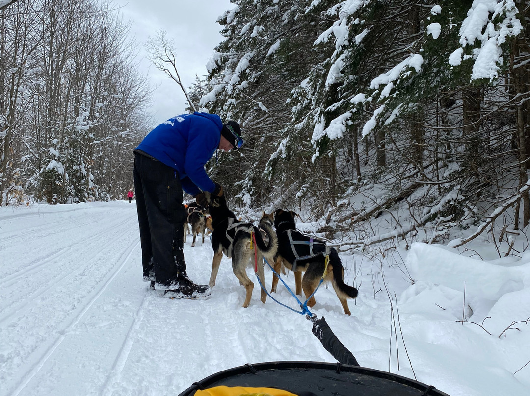 Muddy Paw Sled Dog Kennel-Jefferson必去景点