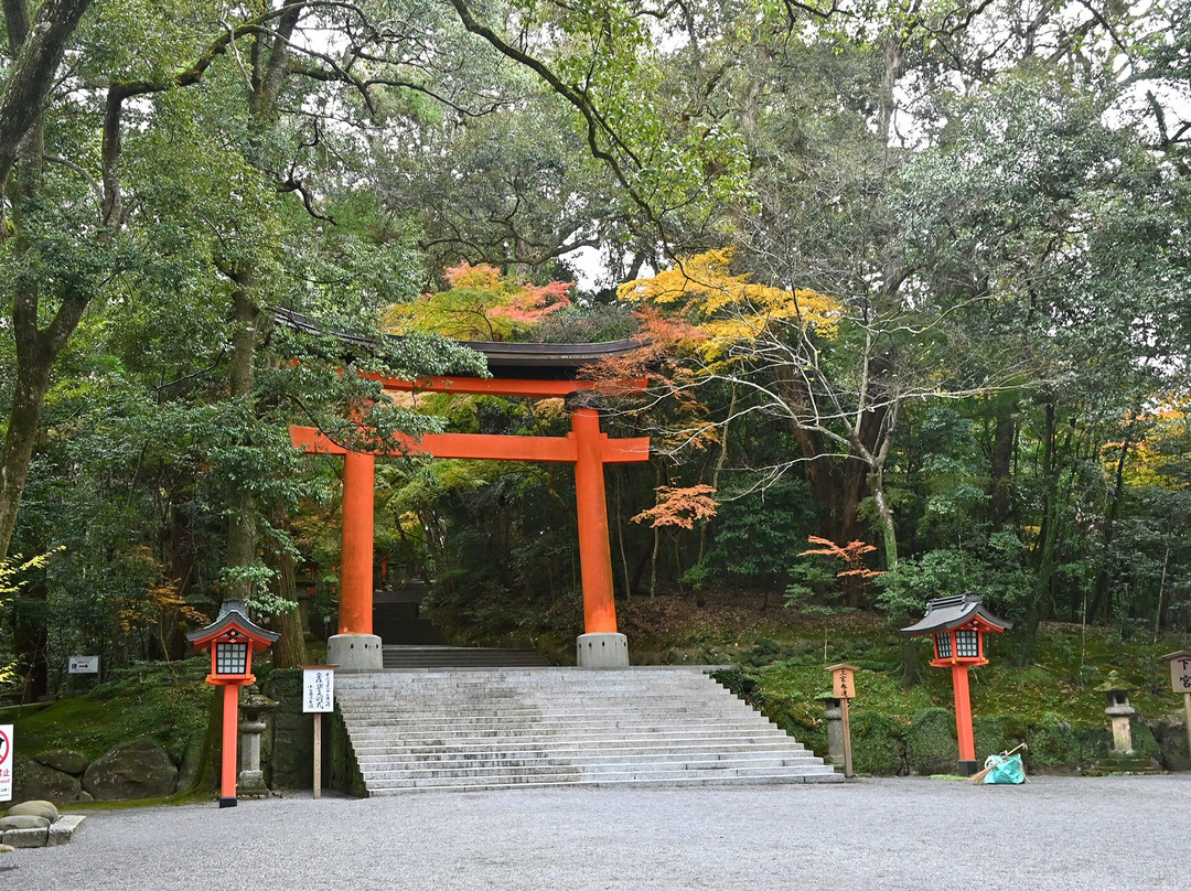 Usa Jingu Shrine Torii景点图片