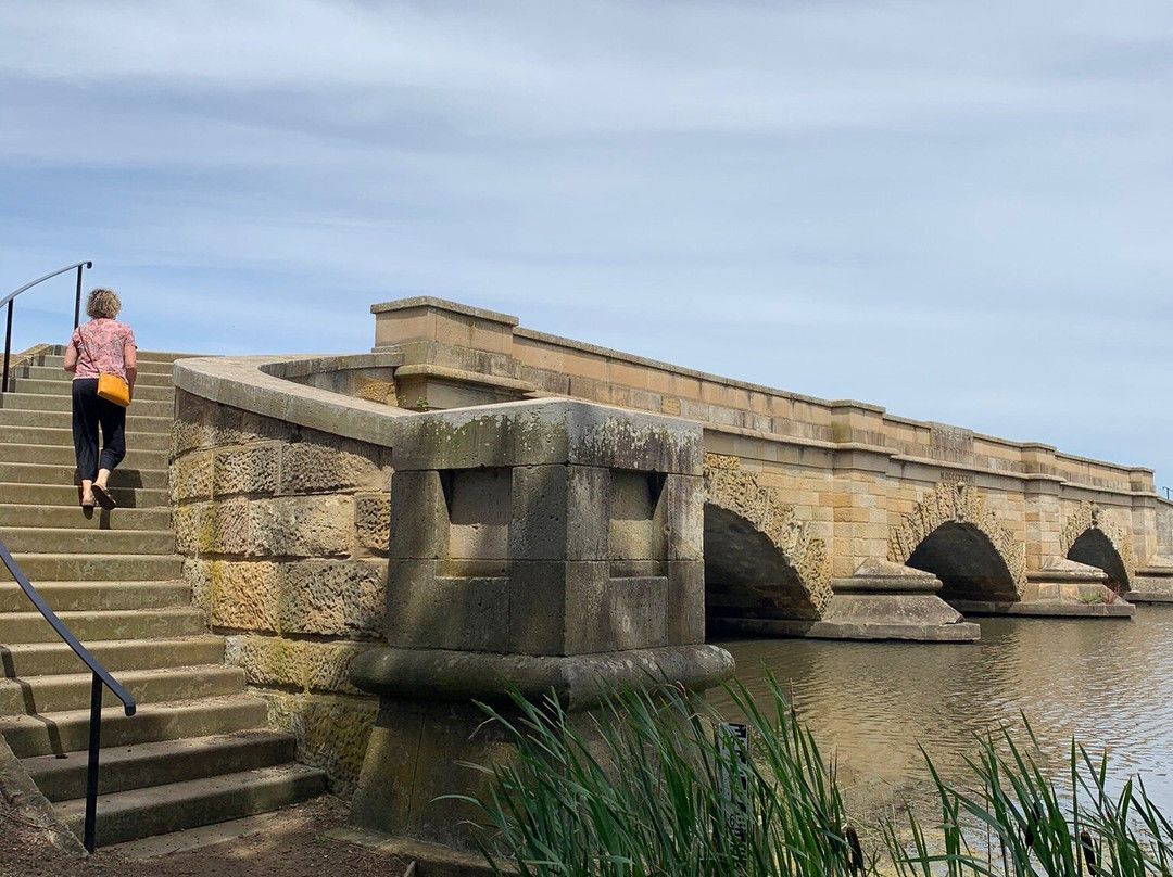 Dinki Bike Hire-罗斯必去景点