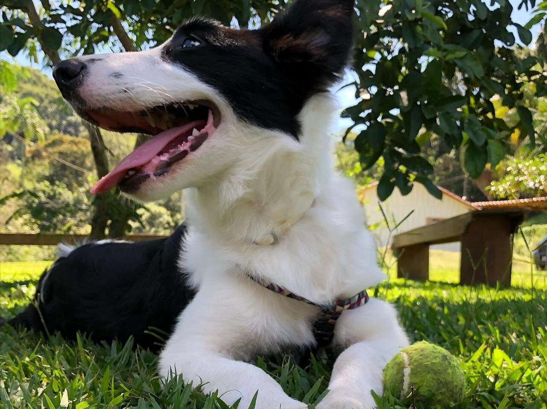 Pousada Gaia Viva主图