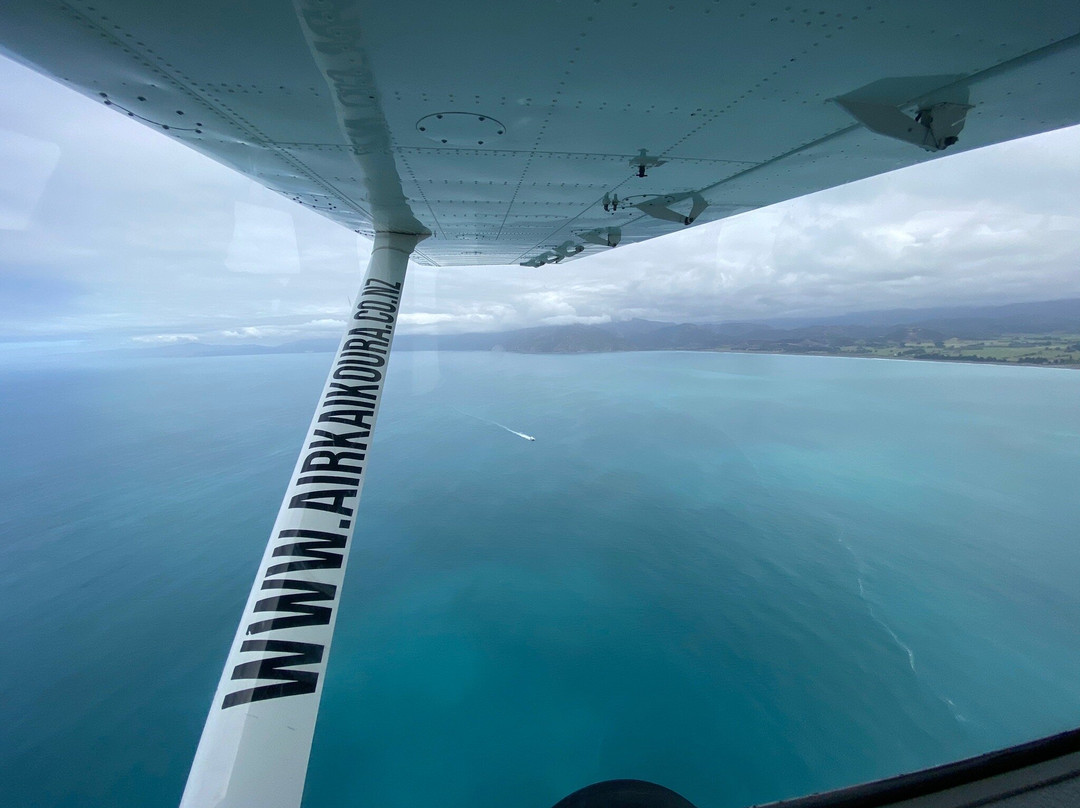 Air Kaikoura Aero Club-Kaikoura必去景点