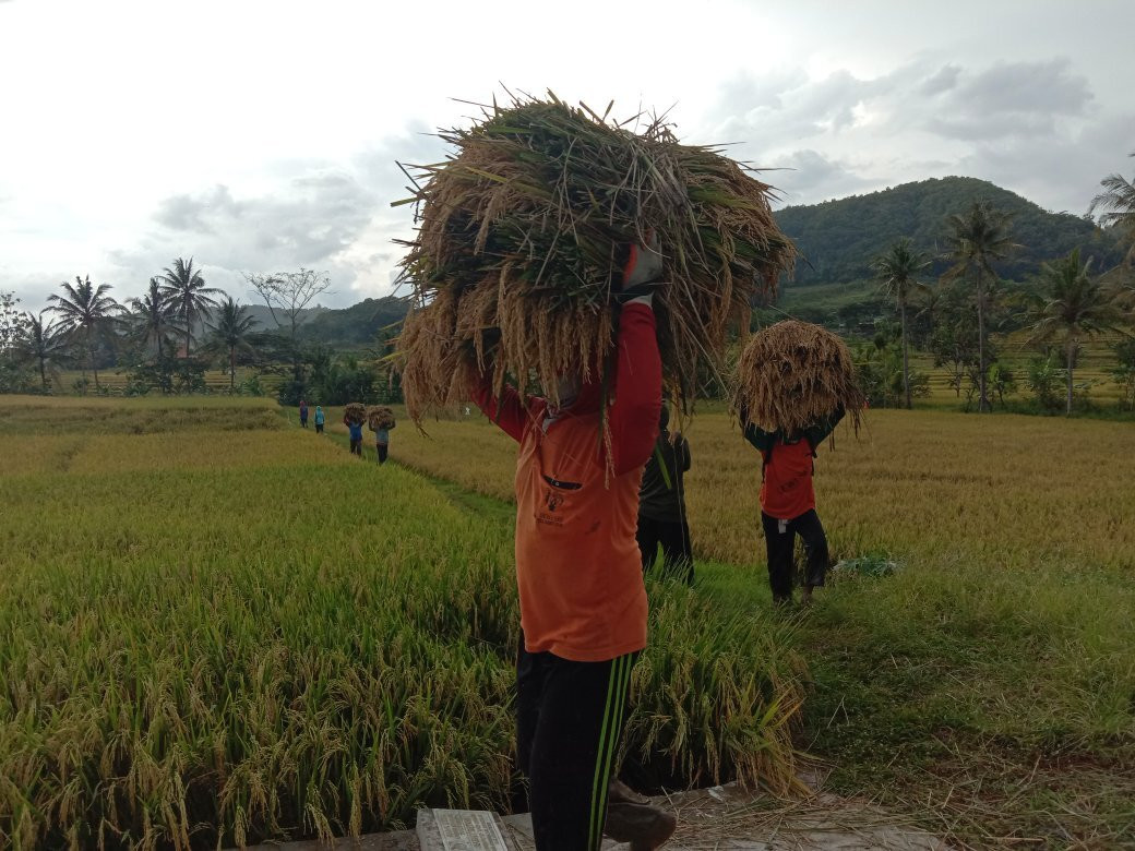 Pronosutan View-Kulon Progo必去景点