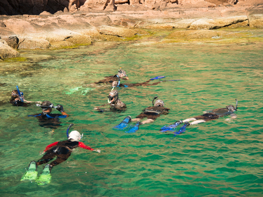 Sea Kayak Adventures-拉巴斯必去景点