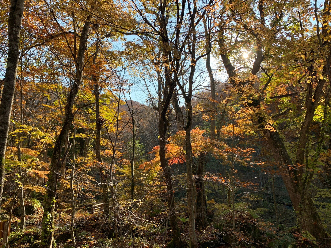 Ishigedo Rest Area-十和田市必去景点