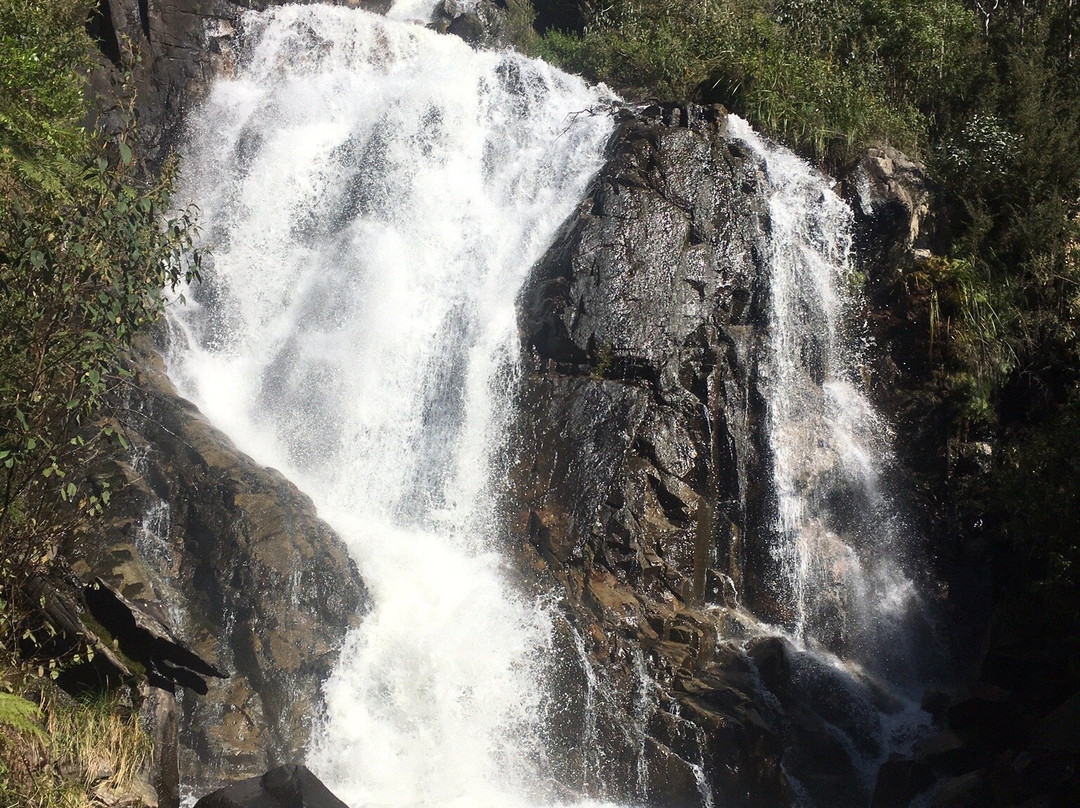 Steavenson Falls景点图片