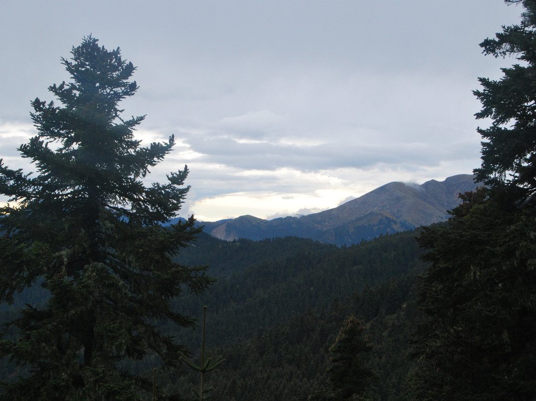 Elatos Resort & Health Club主图