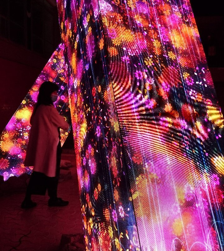 teamLab: A Forest Where Gods Live-武雄市必去景点