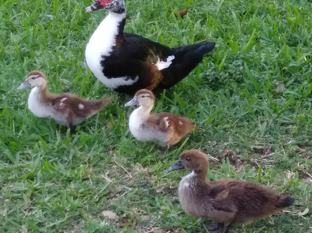热带公园-迈阿密必去景点