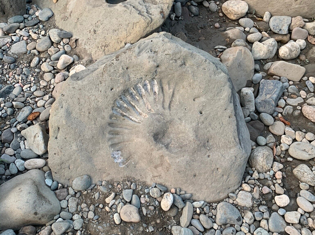 Ammonite Valley-Kamennomostsky必去景点