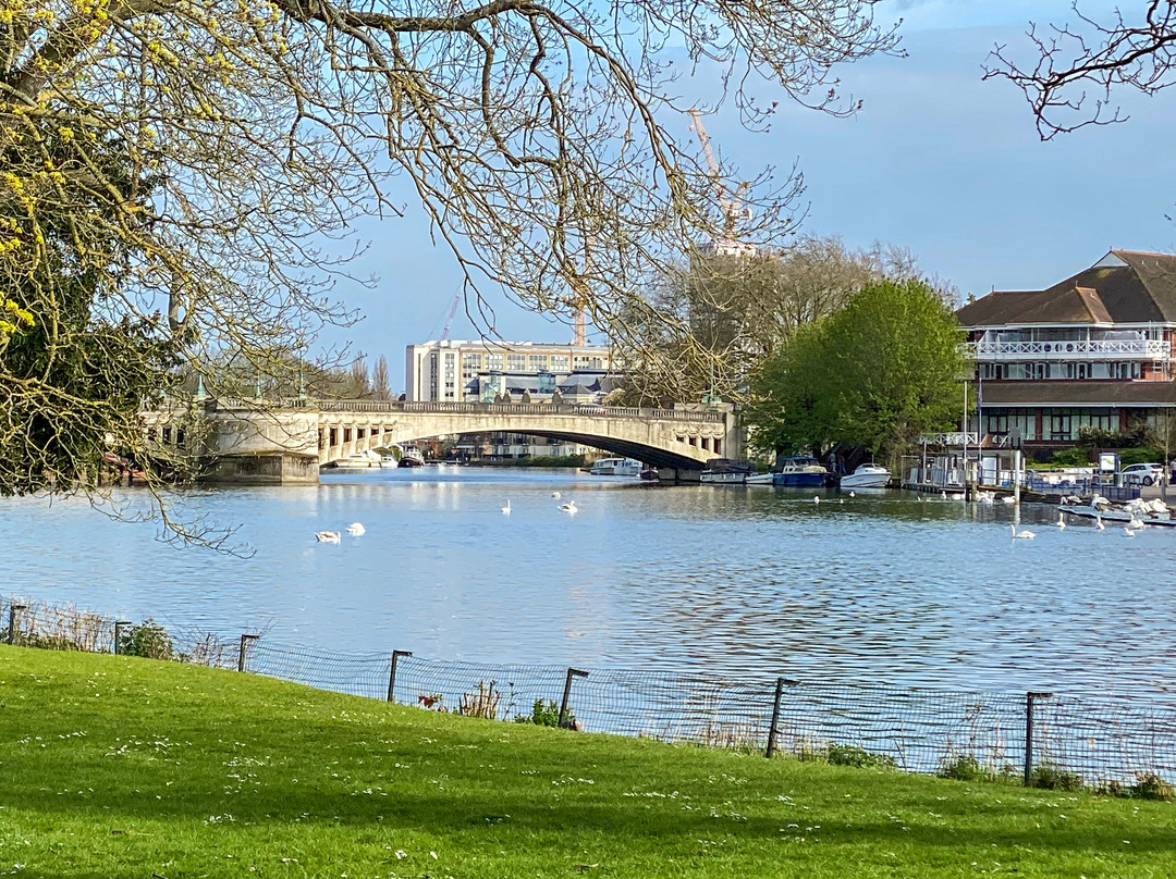 Caversham Court Gardens景点图片