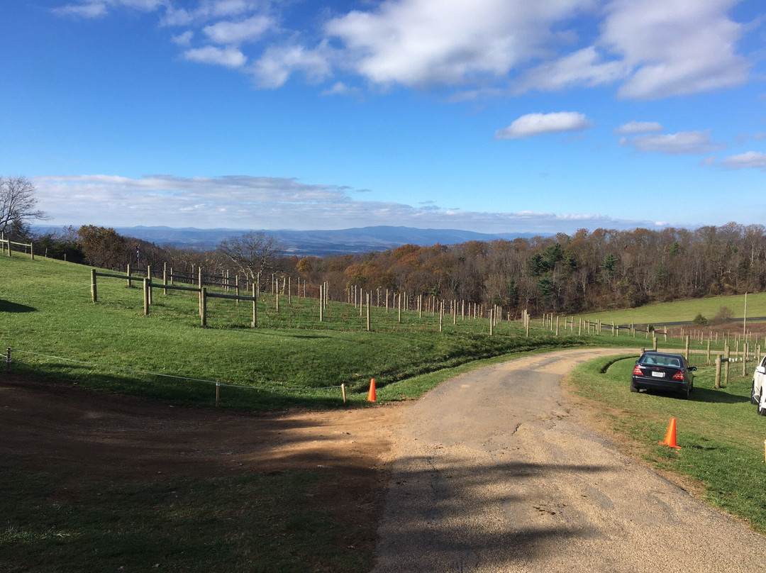 12 Ridges Vineyard-Vesuvius必去景点