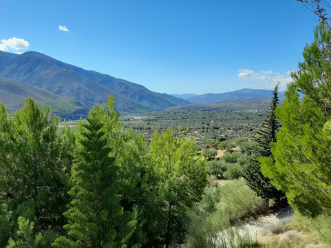 GOinsitu-格拉纳达必去景点