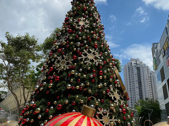 City Square Mall-新加坡必去景点