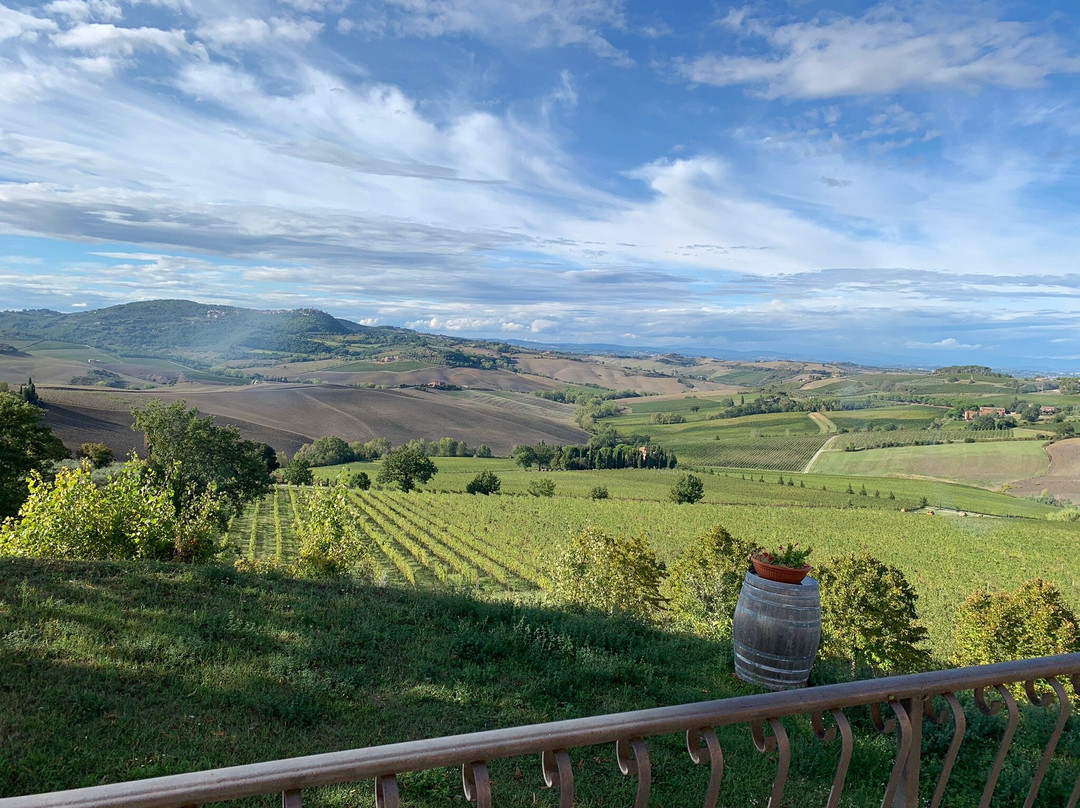 Azienda Agricola Canneto景点图片