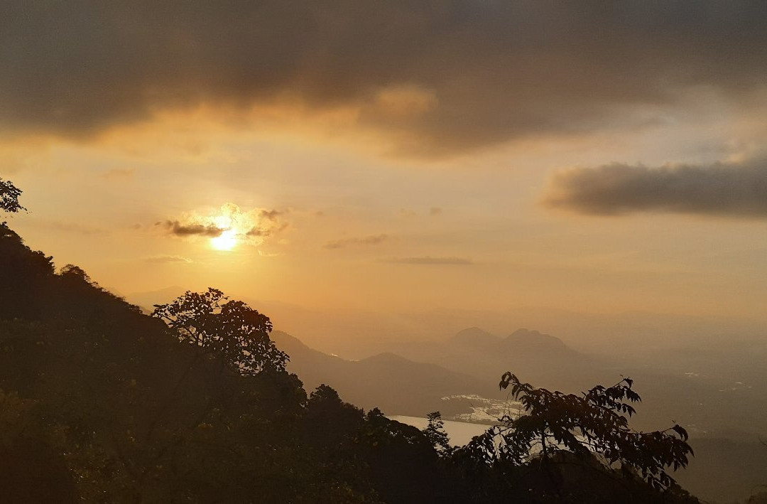 Nelliyampathy Hills-Palakkad必去景点