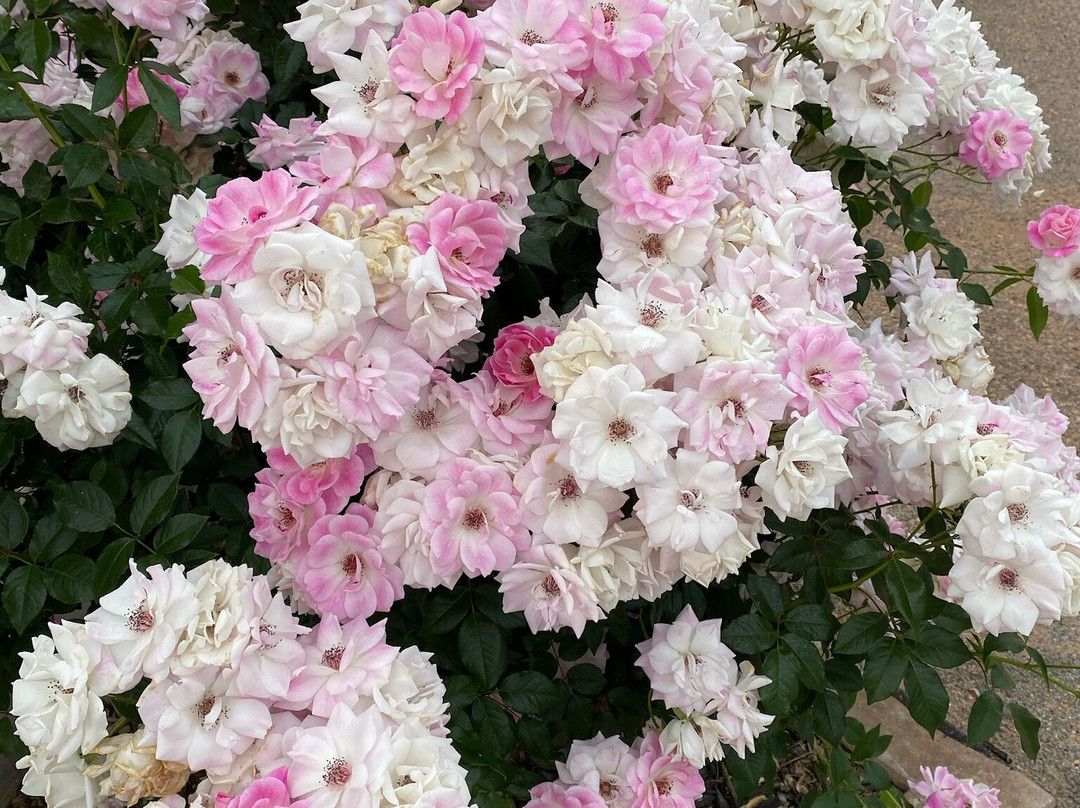 立管高尔夫汽车酒店主图