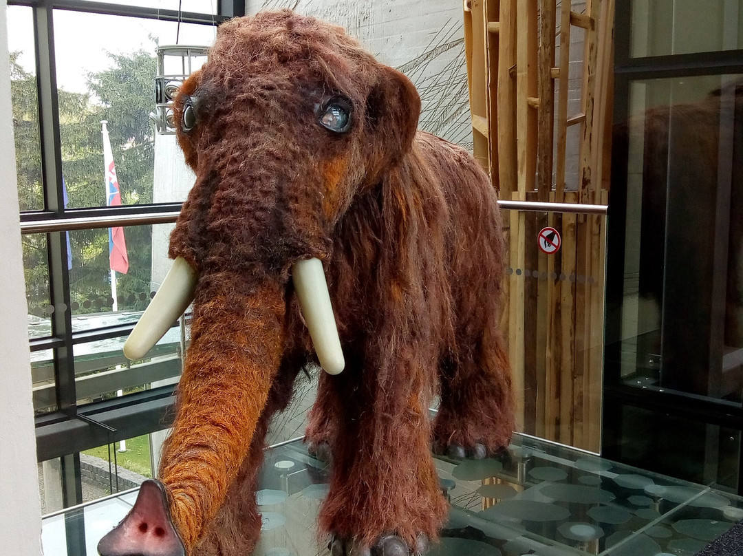 The Slovak Museum of Nature Protection and Speleology-Liptovsky Mikulas必去景点