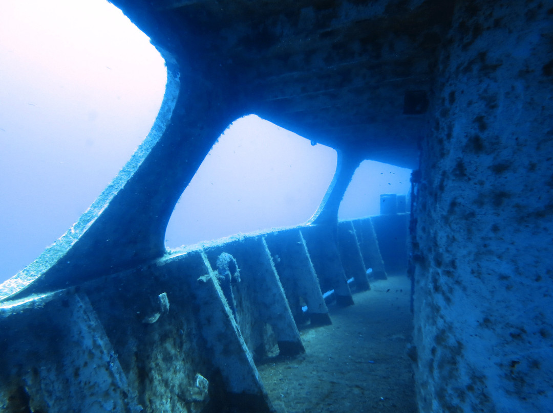 Diving Centers Werner Lau-Alaminos必去景点