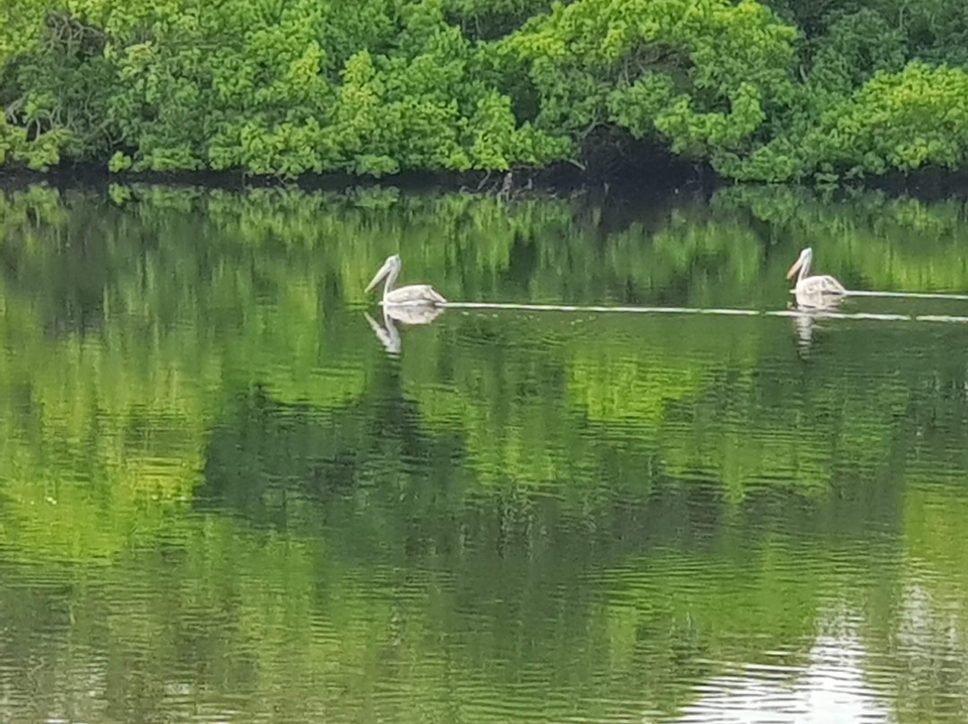 科伦坡福特酒店主图