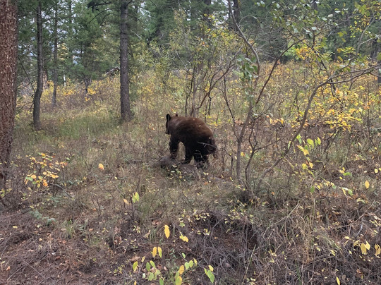 Good Trip Adventures Yellowstone-西黄石镇必去景点