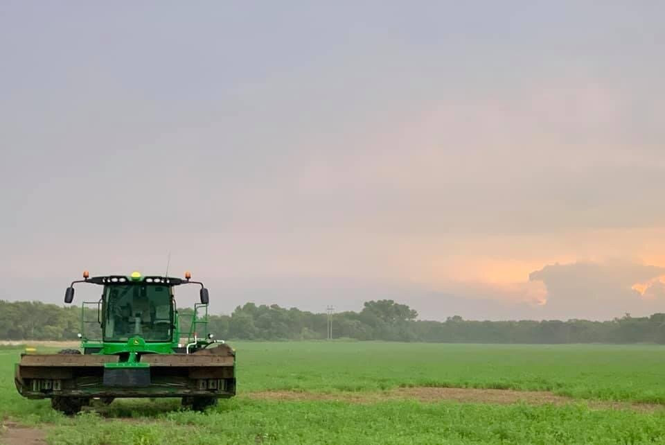 Talbott's Mountain Gold-Palisade必去景点