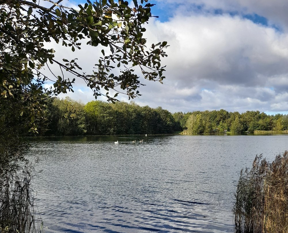 Wykeham Lakes Fishery景点图片