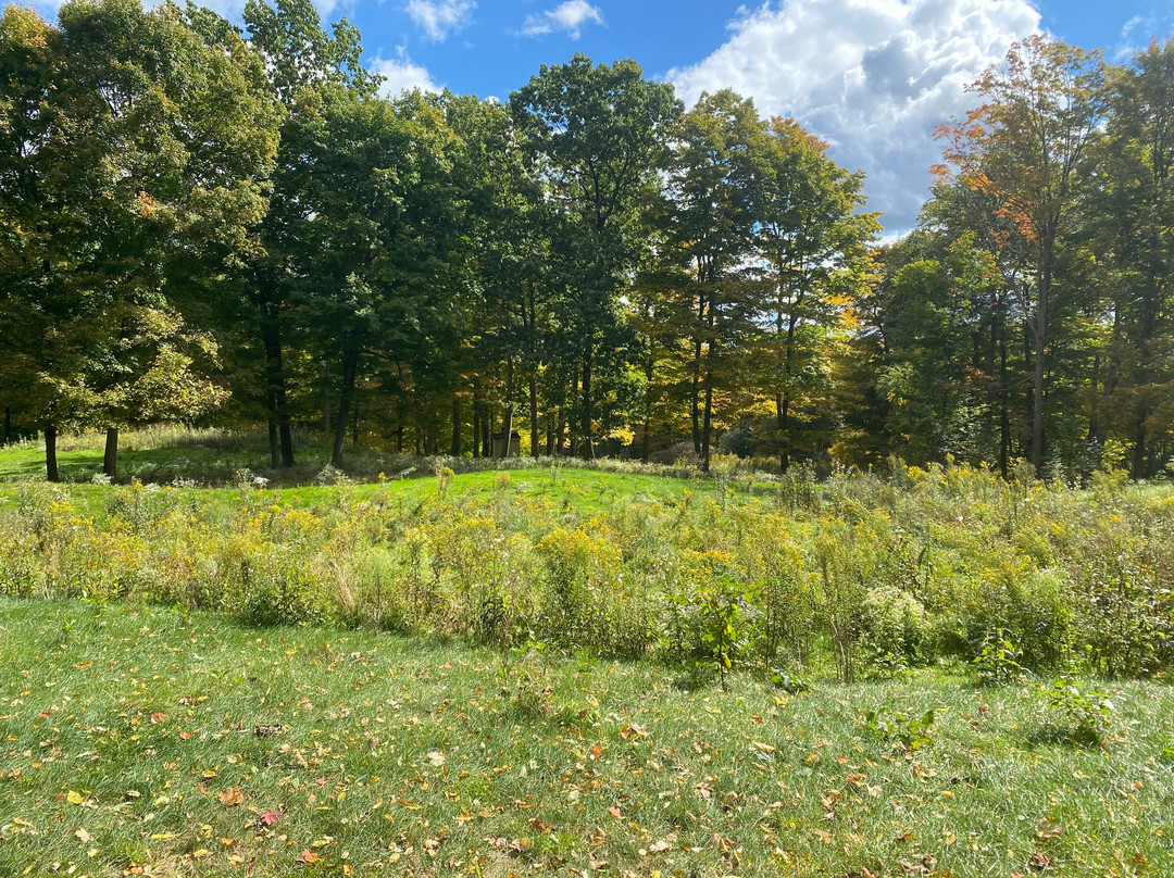 Veteran Legacy Woods Park-Newbury必去景点