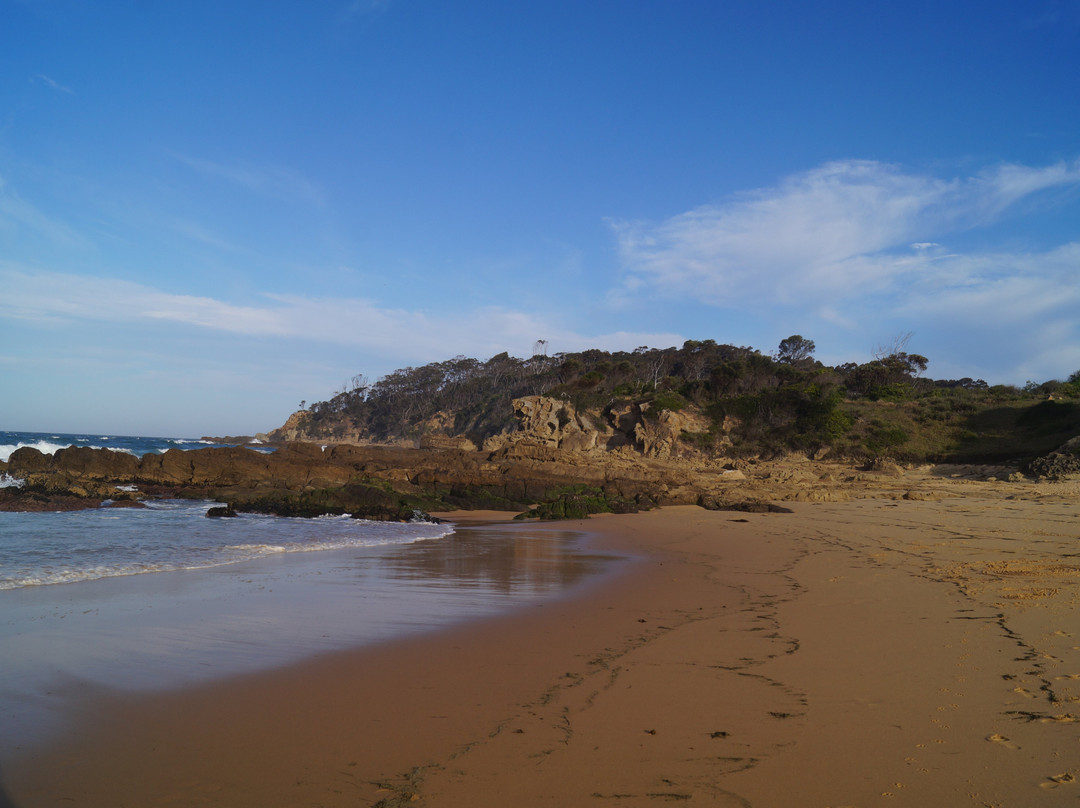 Cuttagee Beach-Cuttagee必去景点